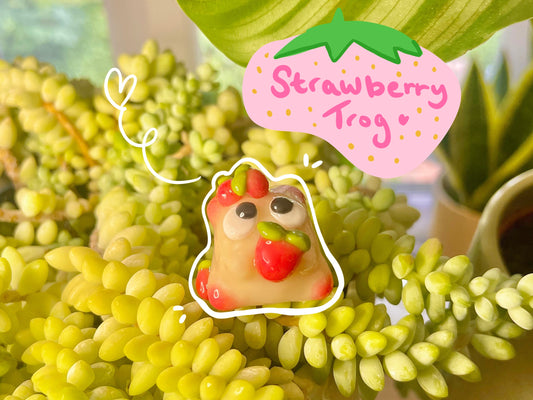 Strawberry Trog 🍓